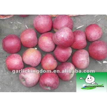 Fresh Qinguan Apples